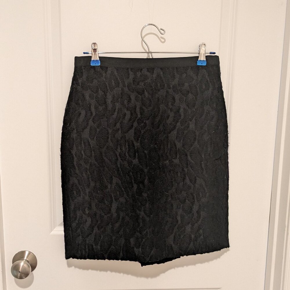 Ann Taylor Skirt